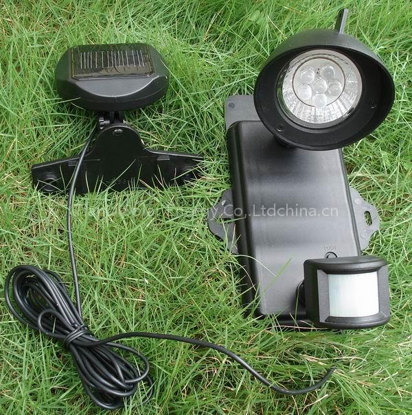Solar Motion Sensor Light