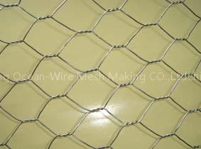 hot dipped galvanized hexagonal mesh