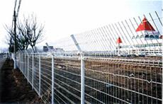 Mesh Fence