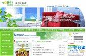 website design,Website Hosting, Website Promotion,Website