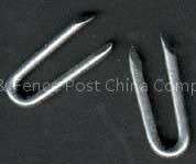 fence staples/fence nails/galvanized fence staples