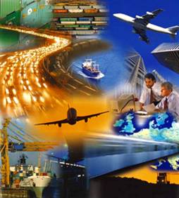 Hong Kong Sea Freight Global Forwarding