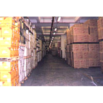 Ocean Freight