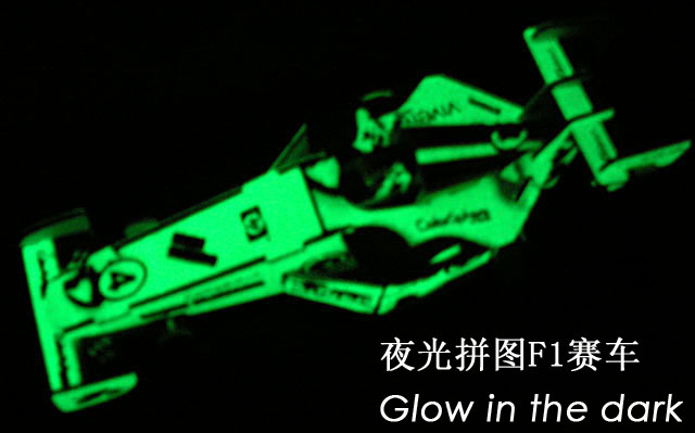 Glow in the Dark 3D Puzzle F1 Racing Car