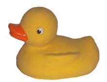 Malaysia Race Duck