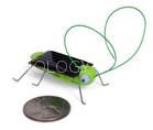 Solar Grasshopper Toys Animals Promotional Toys