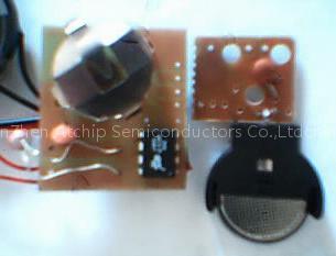 voice ic