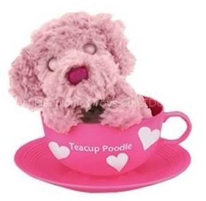 TEACUP POODLE