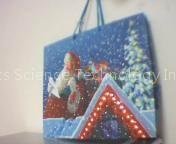 Bag with fiber optics