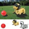 Remote Control Intelligent Robot Pet (China (Mainland))