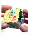 Egypt 3d Build Able Cards