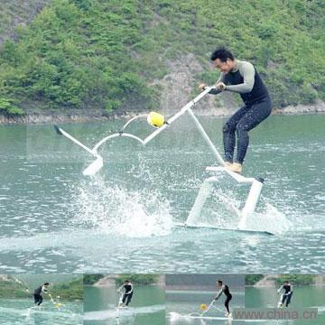 Water Bird
