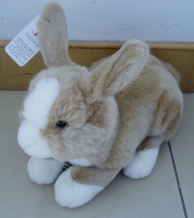 China (Mainland) Hare Yd7007