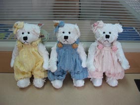 China (Mainland) Lovely Baby Bears