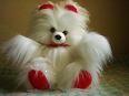 India Teddy Bear