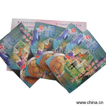 Catalog and Brochure