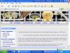 Provide Cost Effective Web Design (Philippines)