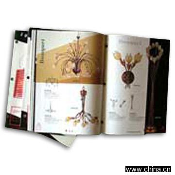 Brochures