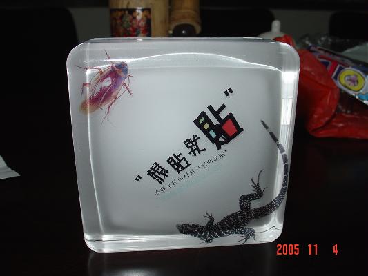 China (Mainland) Transfer Printing