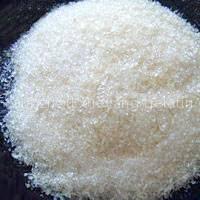 Bone Glue