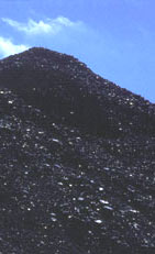 Uzbekistan Activated Carbon