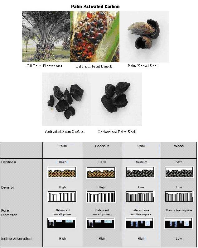 Malaysia Palm Activated Carbon
