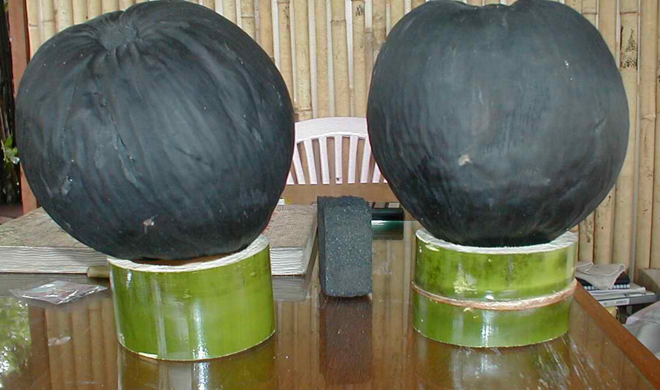 Myanmar Activated Whole Coconut Carbon
