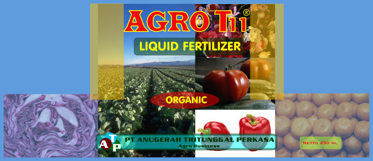 Indonesia Agro T11