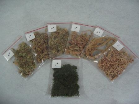 China (Mainland) Sphagnum Moss