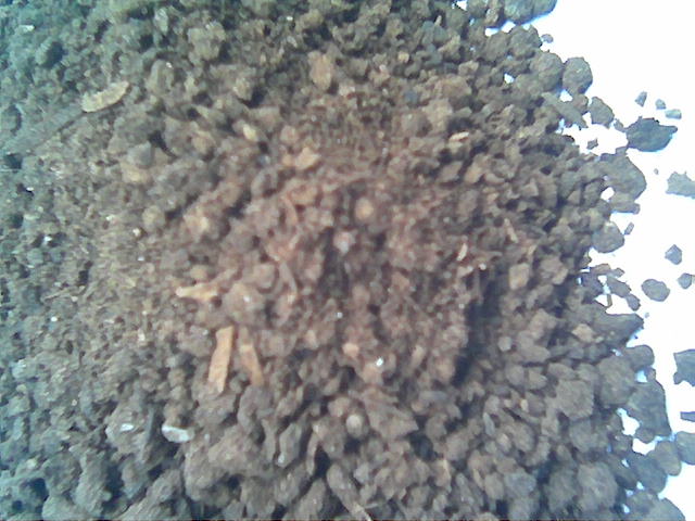Indonesia Organic Fertilizer