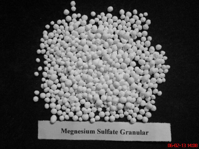 China (Mainland) Magnesium Sulfate Granular Or Kieserite