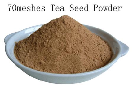 China (Mainland) Tea Seed Powder