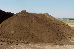 United Arab Emirates Natural Manure