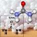 United States Urea