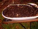 India Organic-Fertilizer