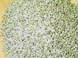 United Kingdom Granular Sulfur Fertilizer 90%