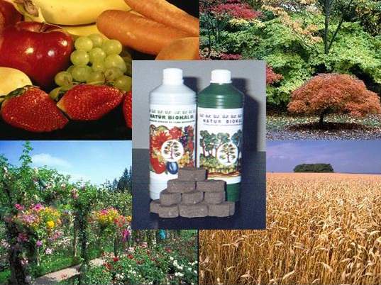 Slovenia Organic Fertilizer