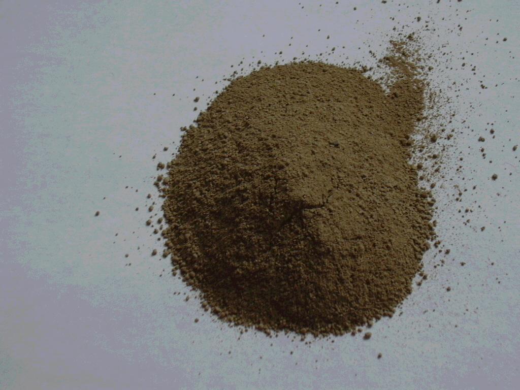 Germany Bat Guano