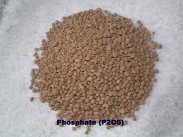 Indonesia Fertilizer