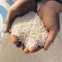 United States Urea 46 Granular-or-Prilled