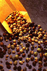 Argentina Commodities The Argentina