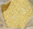 Nigeria Fertilizer