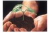Dolomite Soil Conditioner (Philippines)
