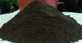 United States Worm Castings