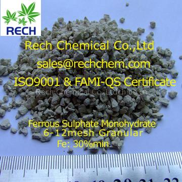 Ferrous Sulphate monohydrate
