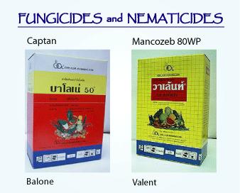 Thailand Balone 50 & Valent