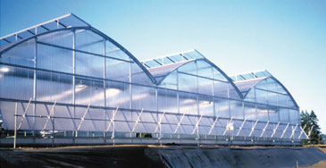 Canada Natural Fungicide