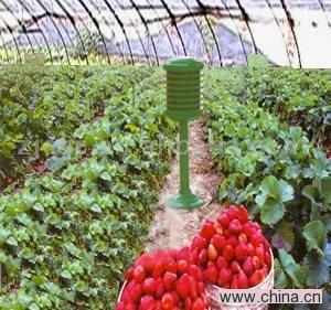 Plant Growth Regulator