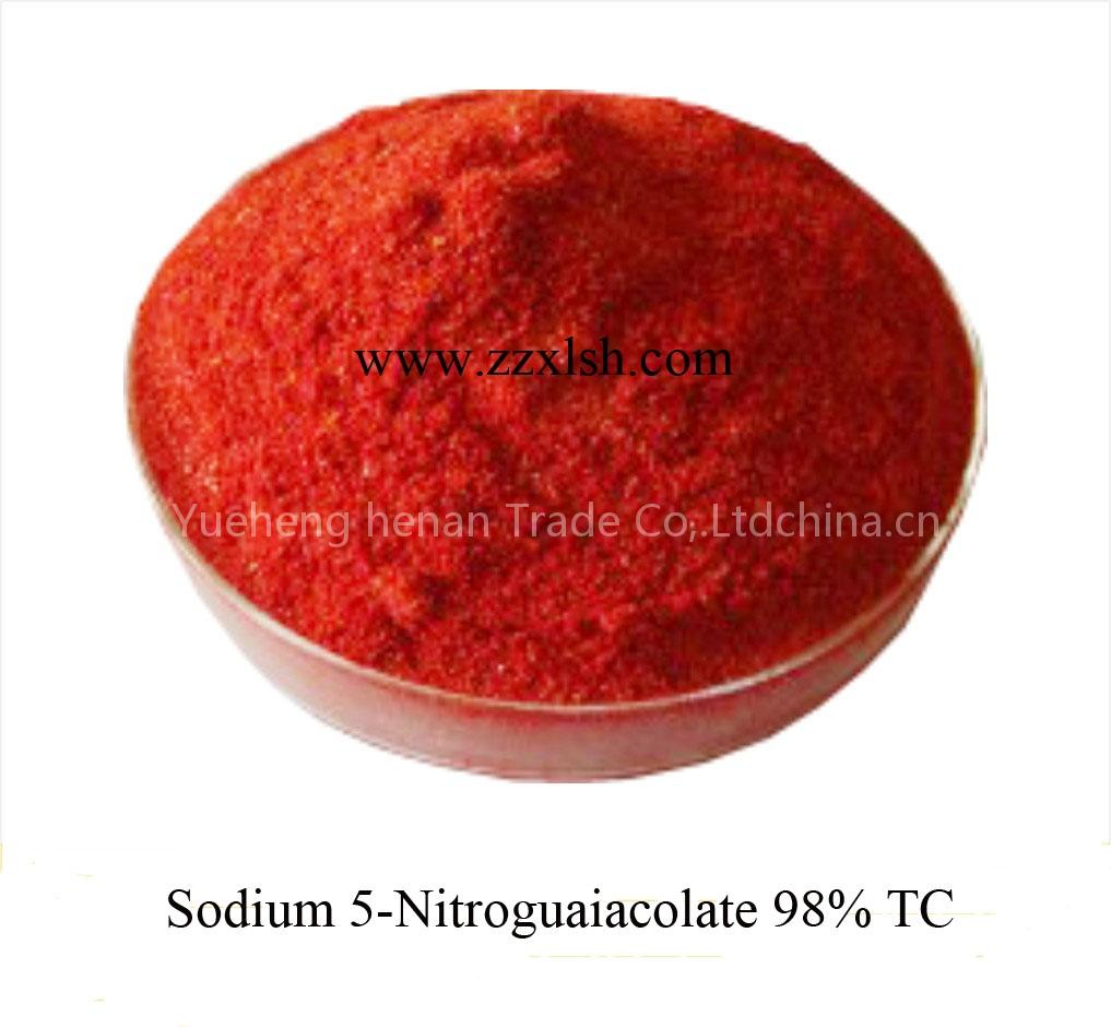 sodium 5-nitroguaiacolate