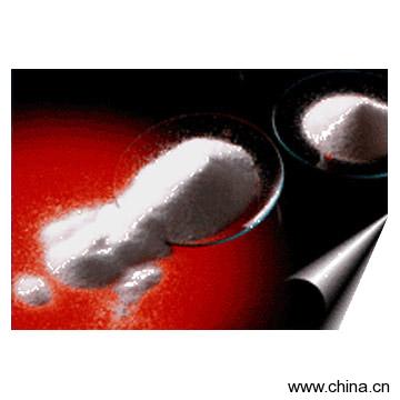 Methylene-Bis-Acrylamide (MBA)